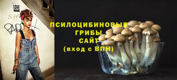 соль ск Михайловск