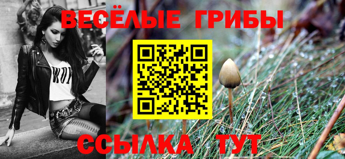 Тамбов  закладки  Вход с VPN  Псилоцибиновые грибы GOLDEN TEACHER 